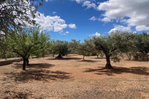 Landejendom i El Perello, Tarragona, El Perello - € 83.000 | Ref: Finca Gran Inti - foto 23